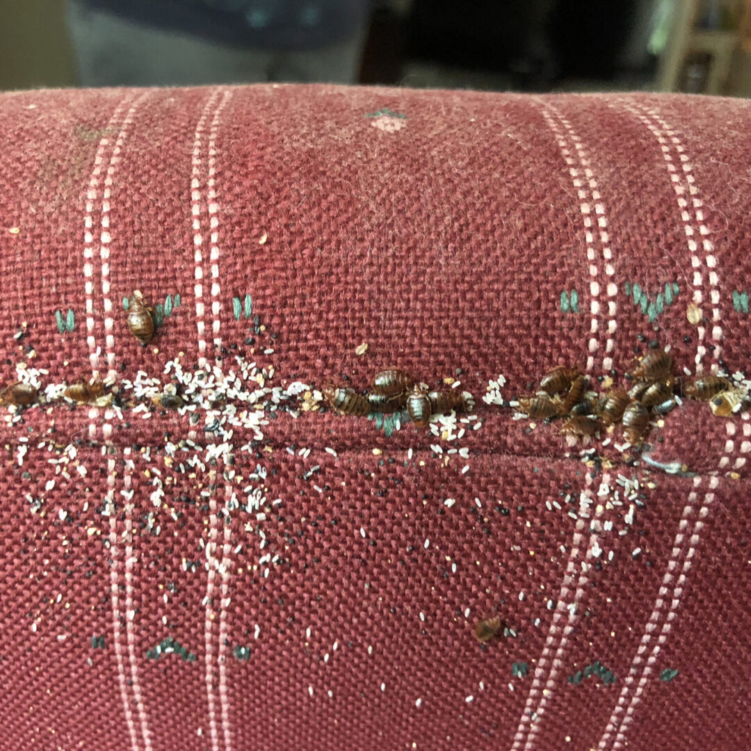 A close up of the back end of a chair